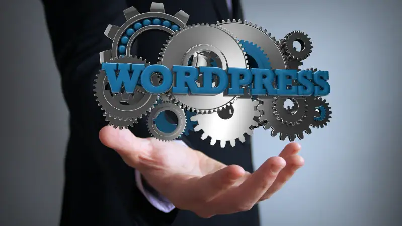 Why WordPress Speed & SEO Matter More Than Ever