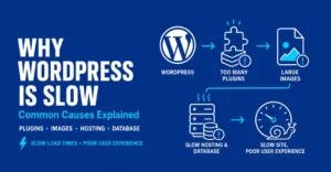 Why WordPress is Slow: 12 Common Causes